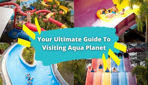 Your Ultimate Guide To Visiting Aqua Planet .
